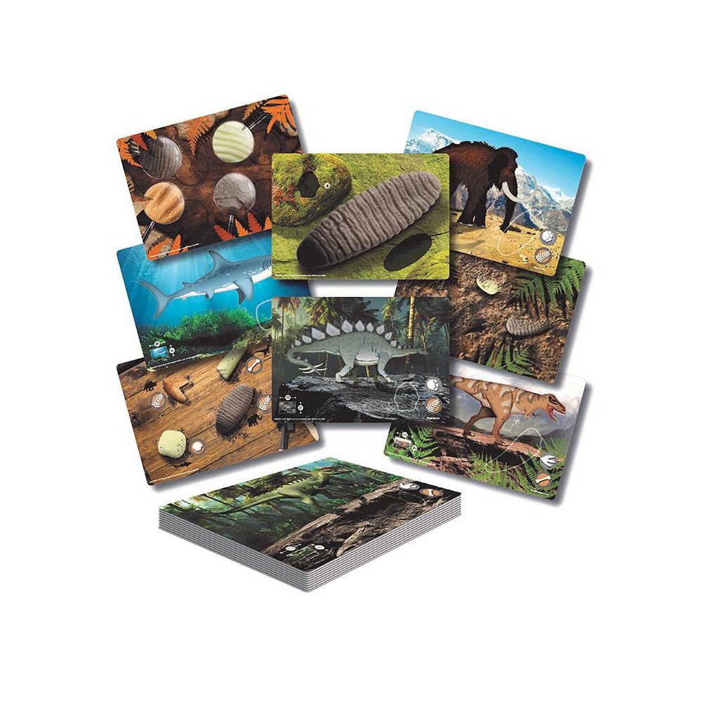 Prehistoric Teeth – Explore and Discover Activity Cards, Set of 16. Picture 2