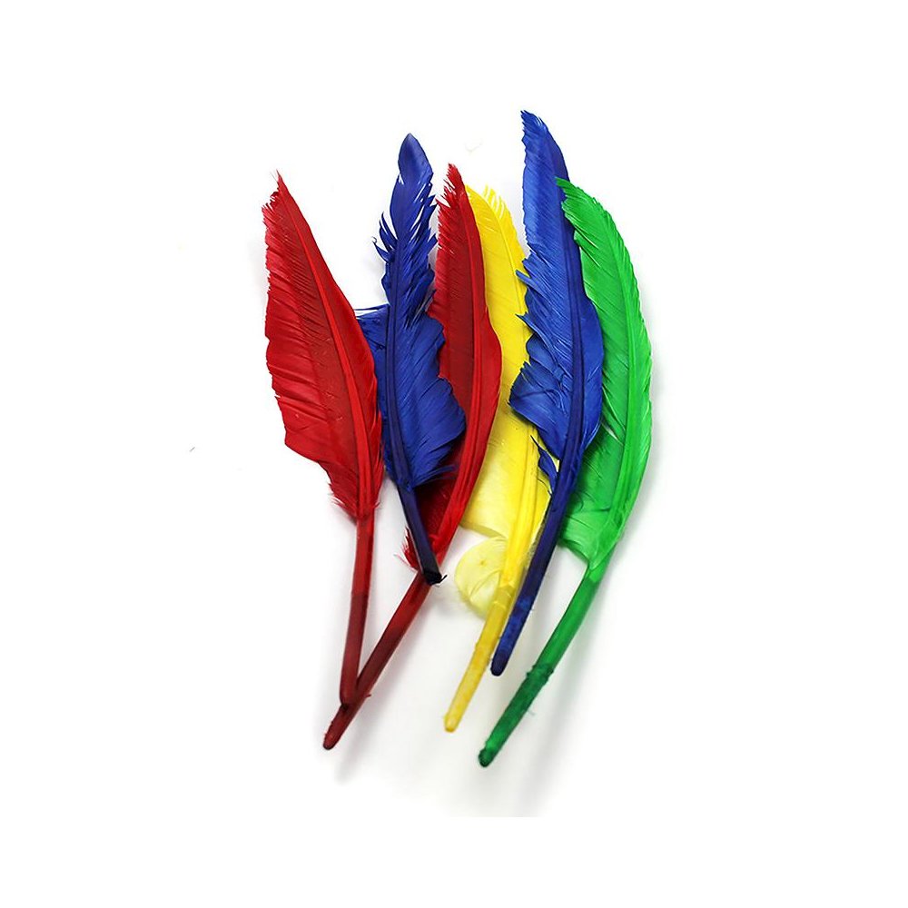 Quill Feathers, 10" & 12", 6 Per Pack, 12 Packs. Picture 1