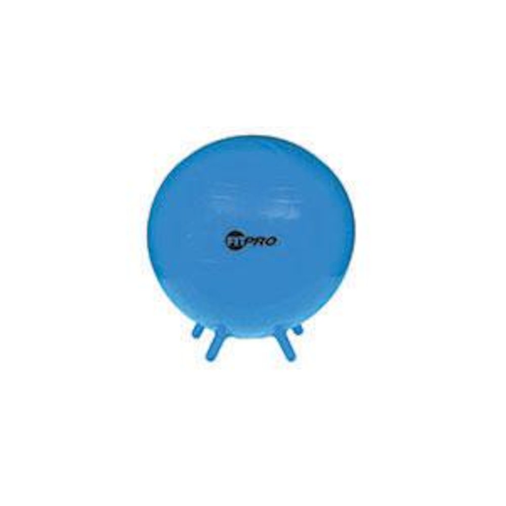 FITPRO BALL STABILITY LEGS BLU 55CM GR 3 AND UP. Picture 2