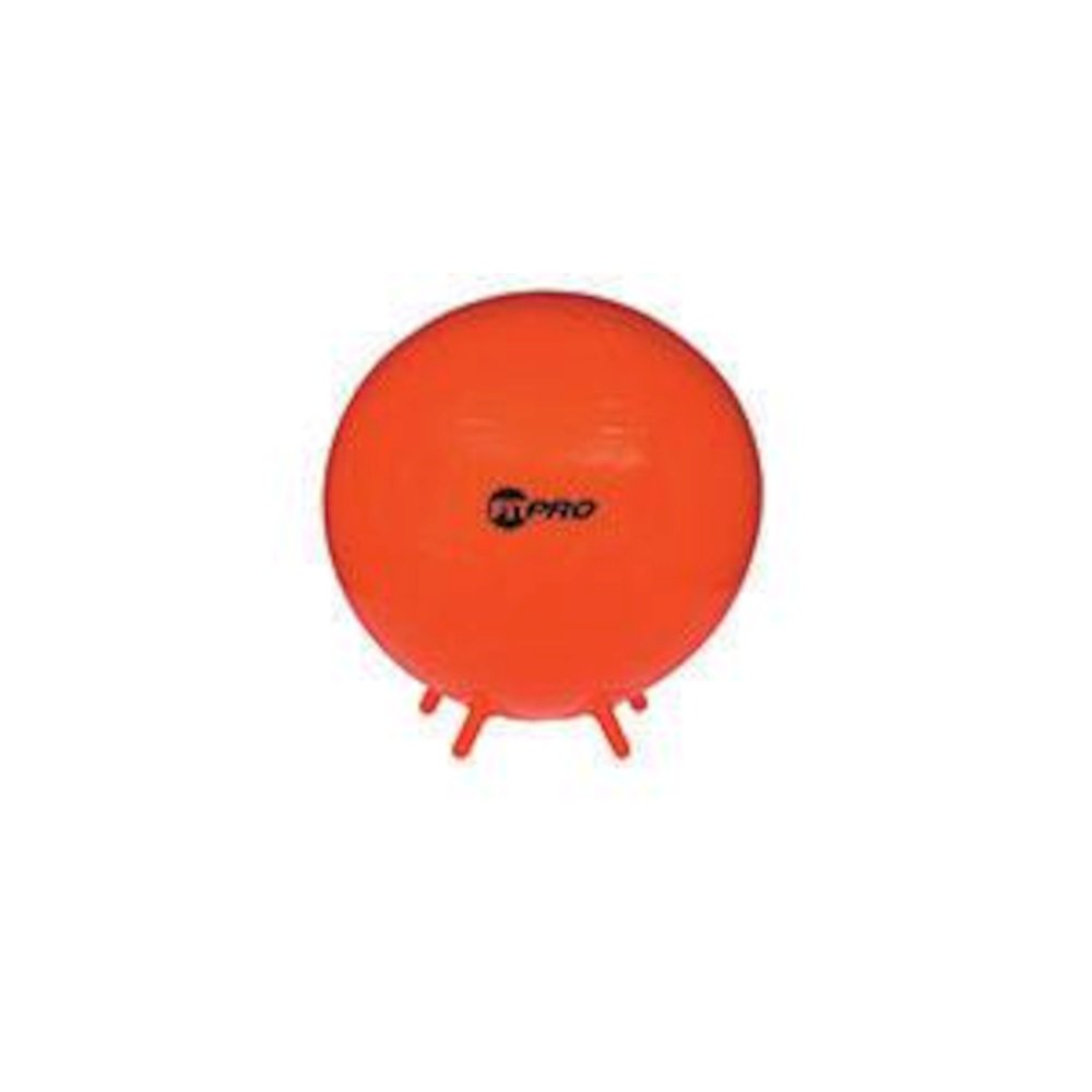 FITPRO BALL STABILITY LEGS RED 75CM GR 8 AND UP. Picture 2