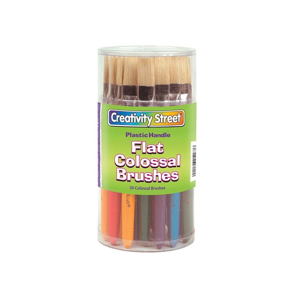 COLOSSAL FLAT HANDLE BRUSH ASSTD. Picture 1