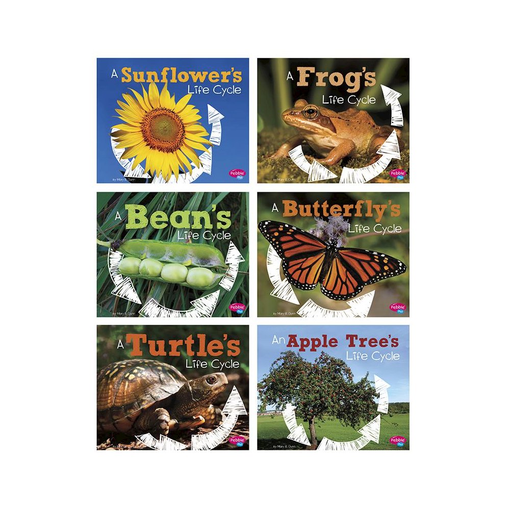 Explore Life Cycles, Set of 6 books. Picture 1