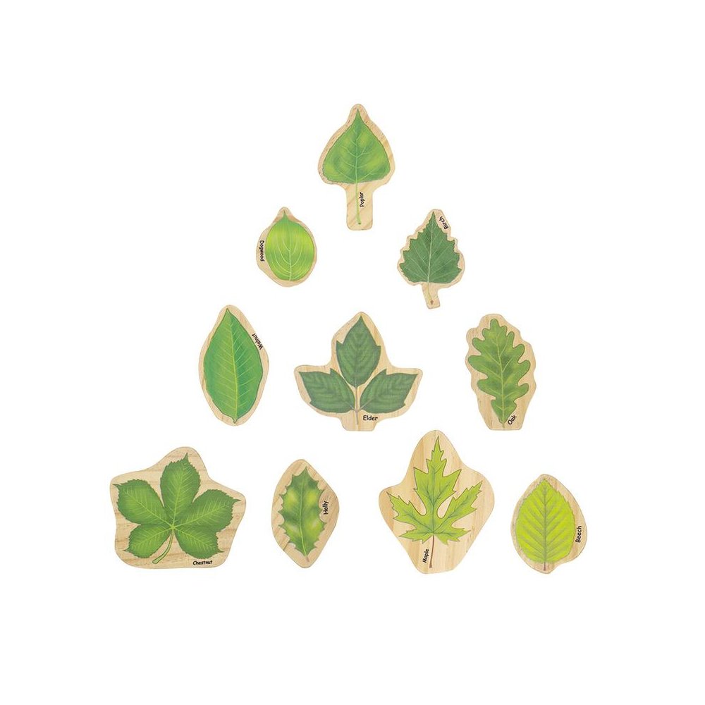 Stacking Leaves. Picture 1