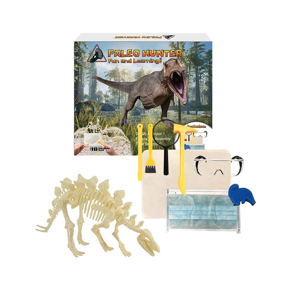 Paleo Hunter Dig Kit for STEAM Education - Stegosaurus. Picture 1