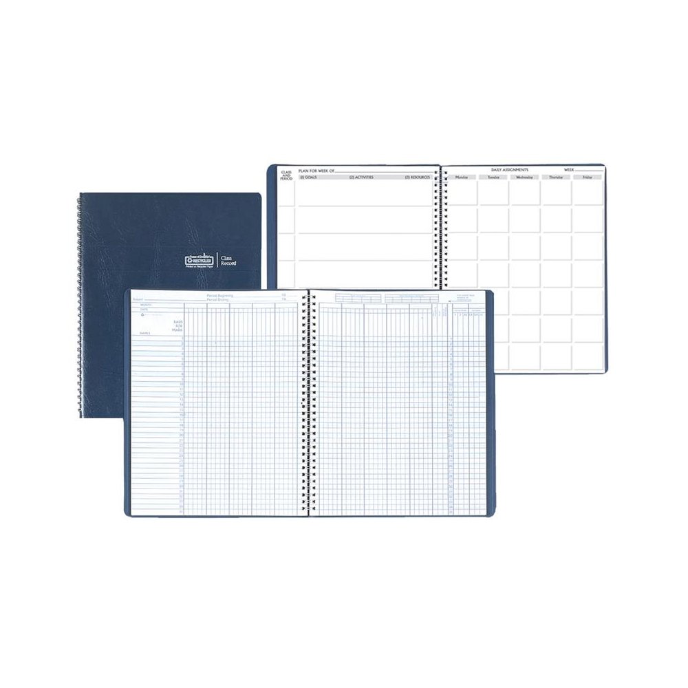 Combination Lesson Planner & Class Record Book. Picture 1