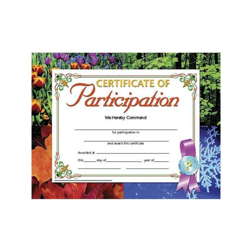 Certificate of Participation, 8.5" x 11", 30 Per Pack, 3 Packs. Picture 1