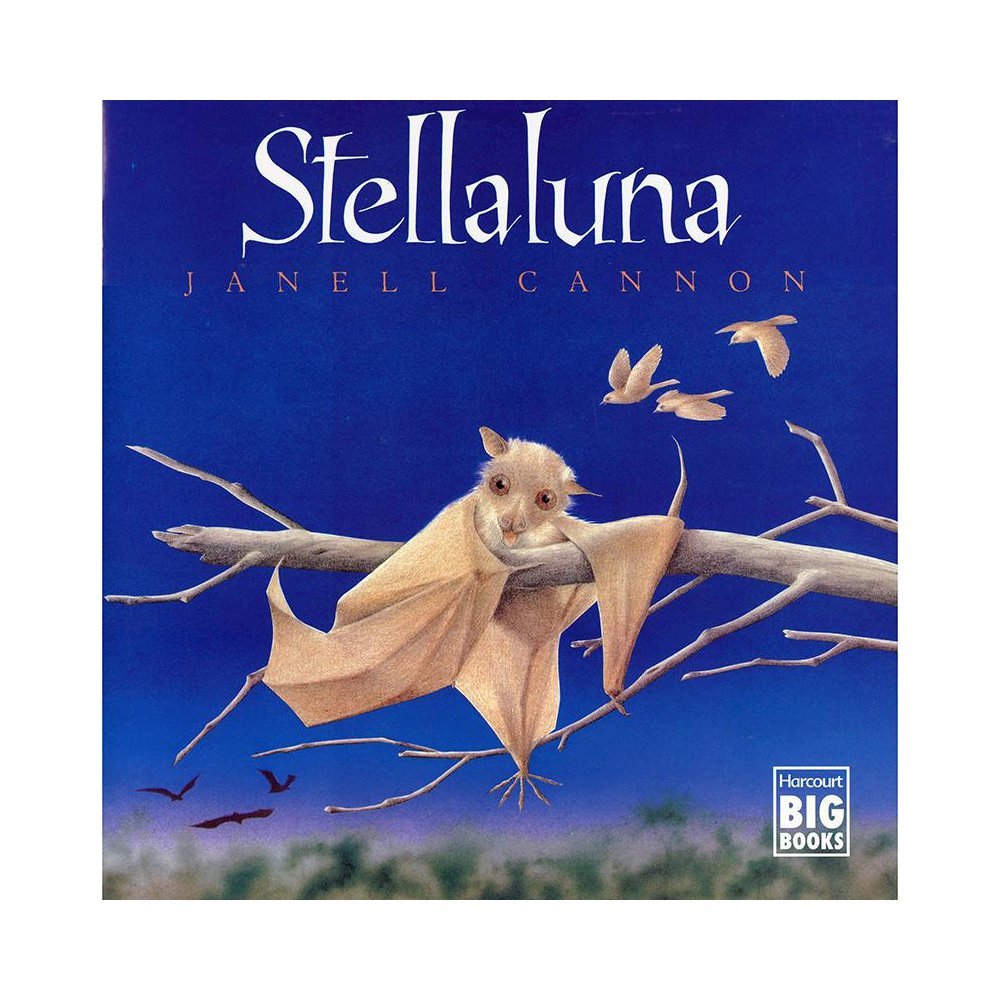 STELLALUNA BIG BOOK. Picture 1