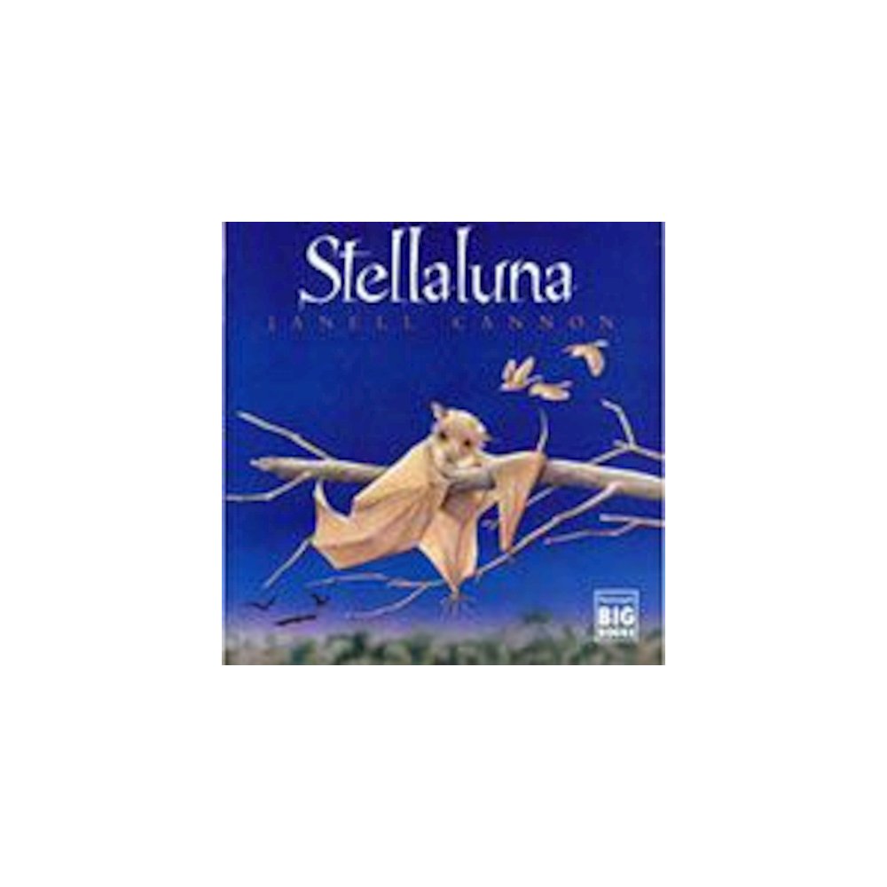 STELLALUNA BIG BOOK. Picture 2