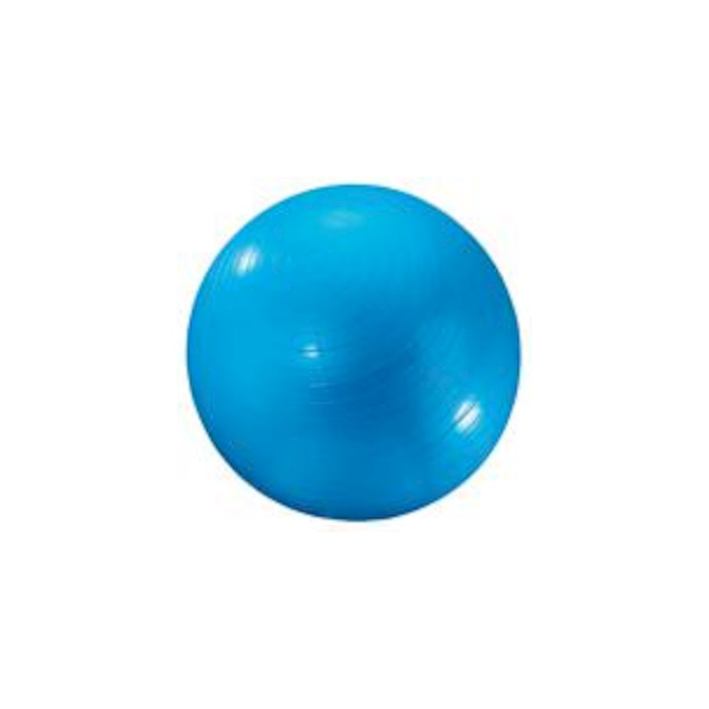 Exercise Ball 24In Blue. Picture 2