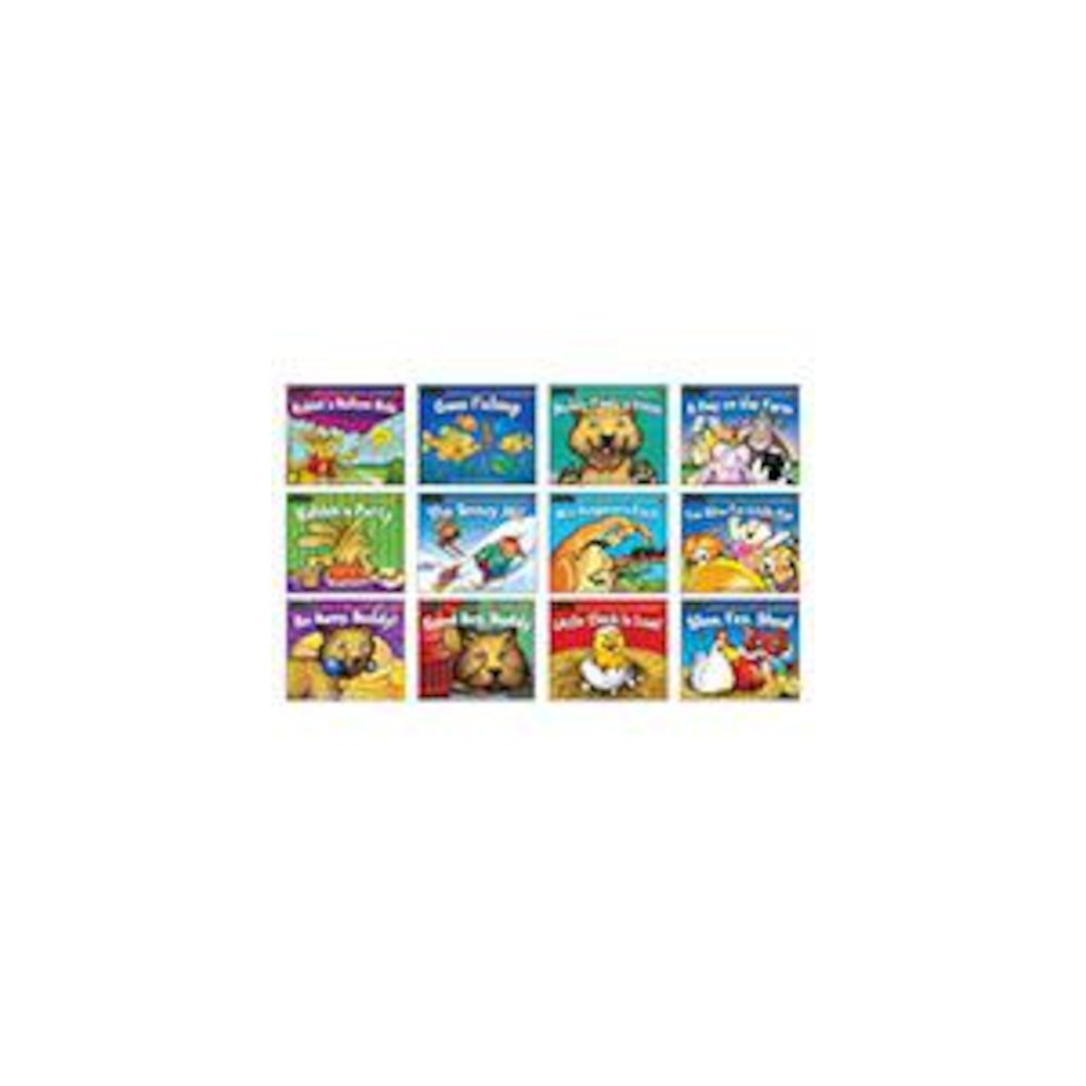 RISING READERS LEVELED BOOKS FICTION SET. Picture 2