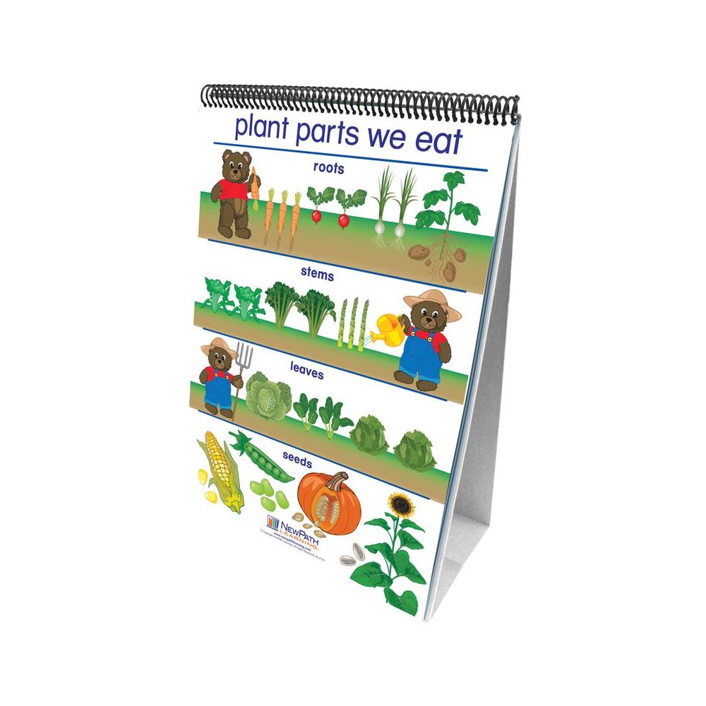 Early Childhood Science Readiness Flip Charts, All About Plants. Picture 1