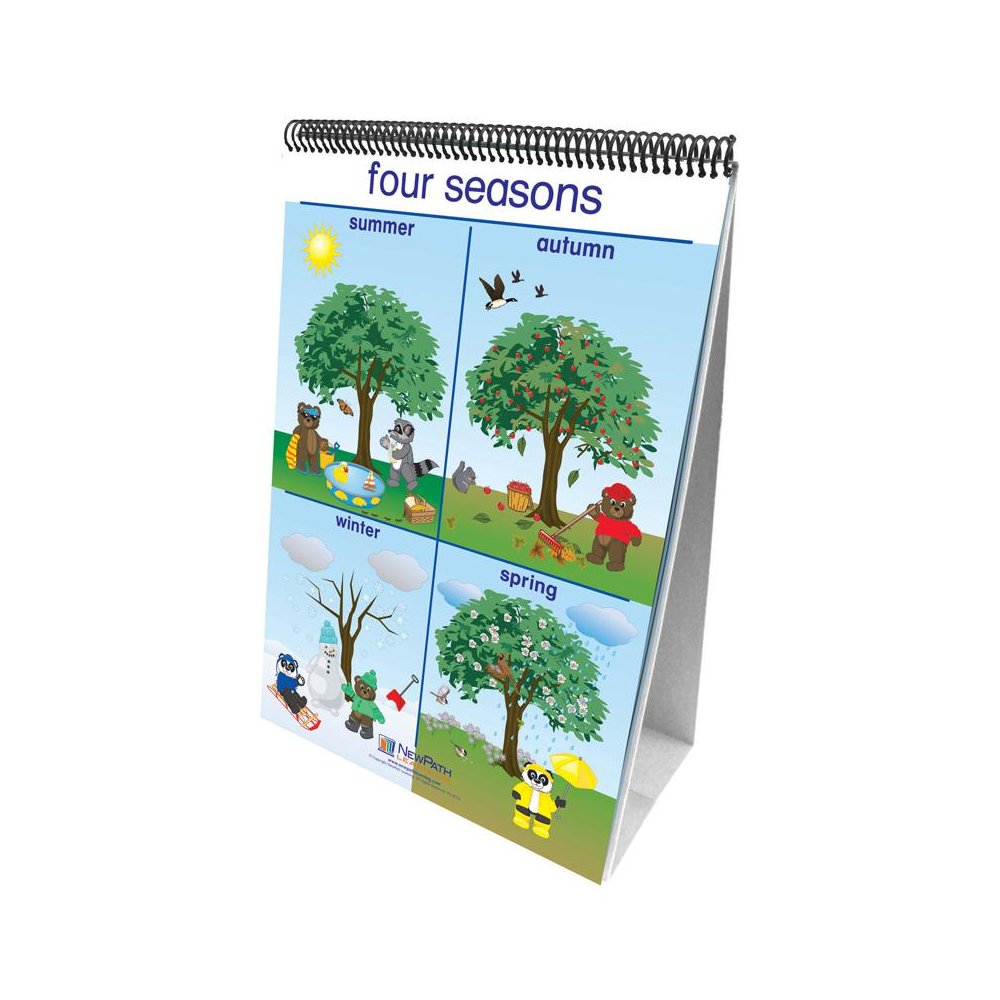 Early Childhood Science Readiness Flip Charts, Weather & Sky. Picture 1