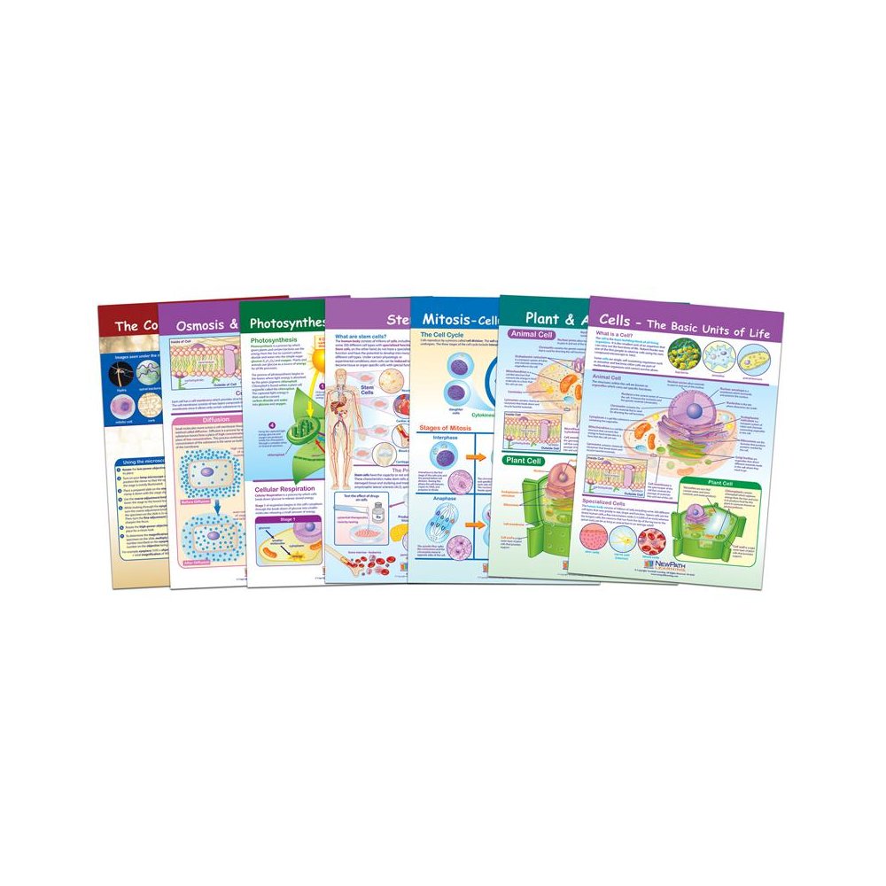 Cells Bulletin Board Chart Set, Grades 3-5. Picture 1