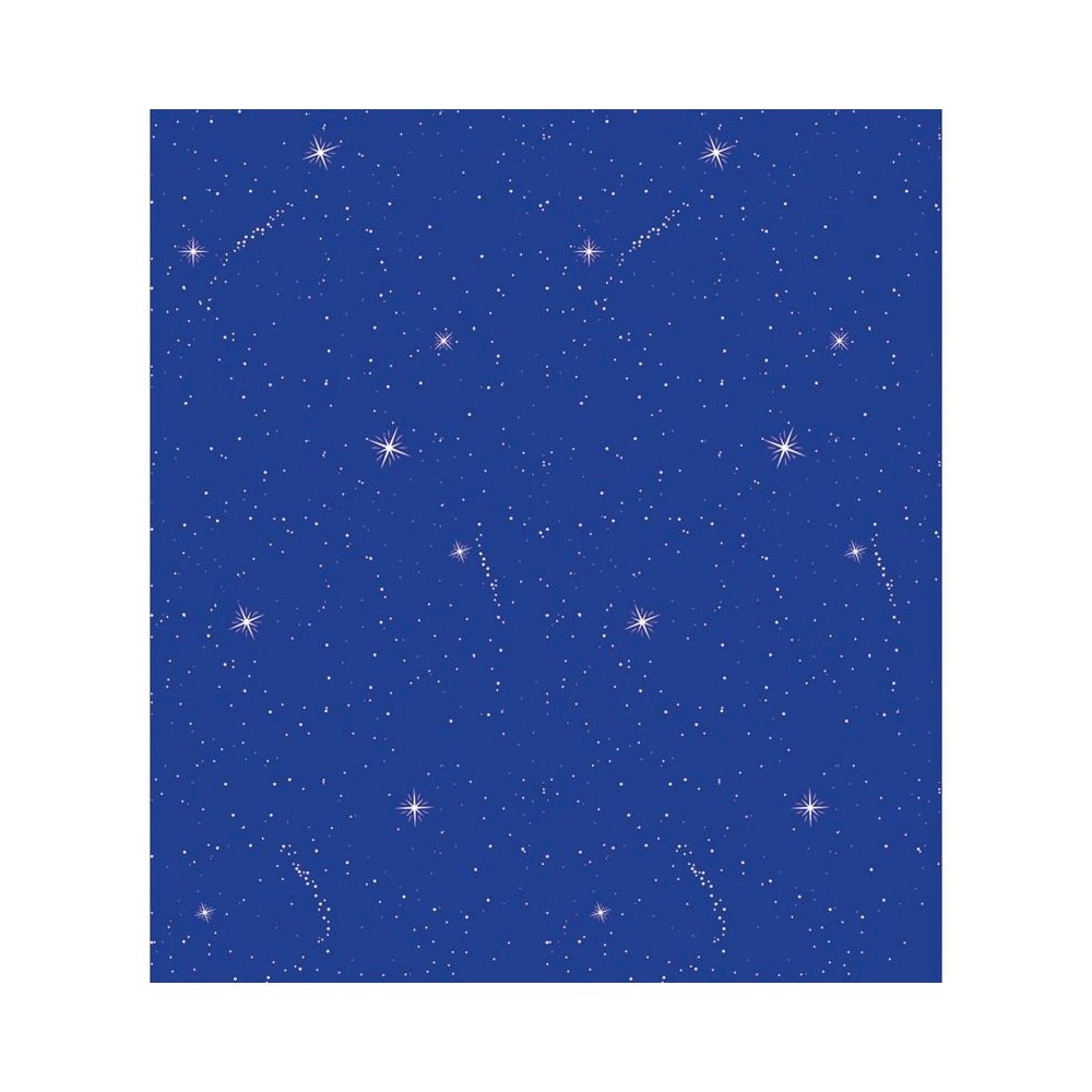 Fadeless 48X12 Night Sky Sold 4Rls, Per Carton. Picture 1