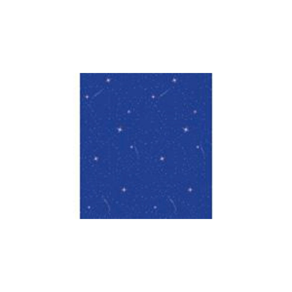 Fadeless 48X12 Night Sky Sold 4Rls, Per Carton. Picture 2