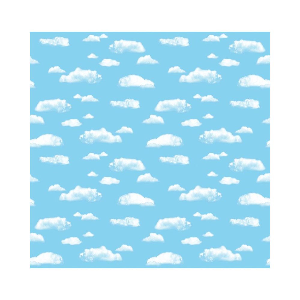 FADELESS 48X12 CLOUD SOLD 4RLS/CTN. Picture 1