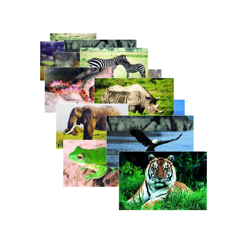 WILD ANIMAL POSTER SET SET OF 10. Picture 1