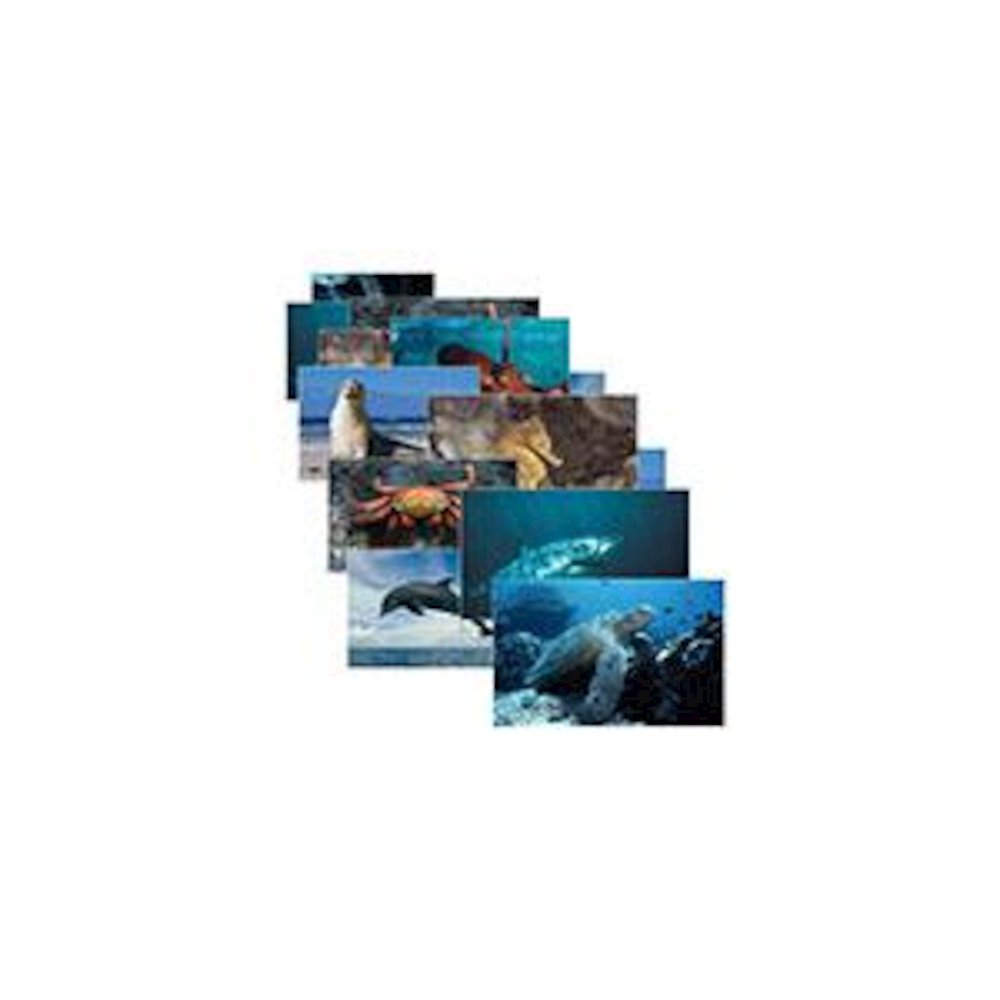 SEA LIFE 14 POSTER CARDS. Picture 2