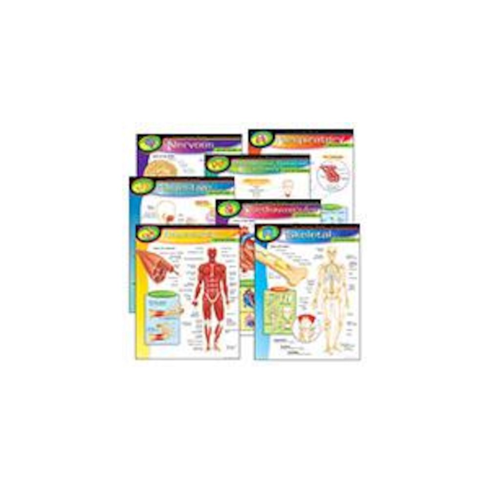 CHART PK THE HUMAN BODY 7/PK 17X22 GR 5-8. Picture 2