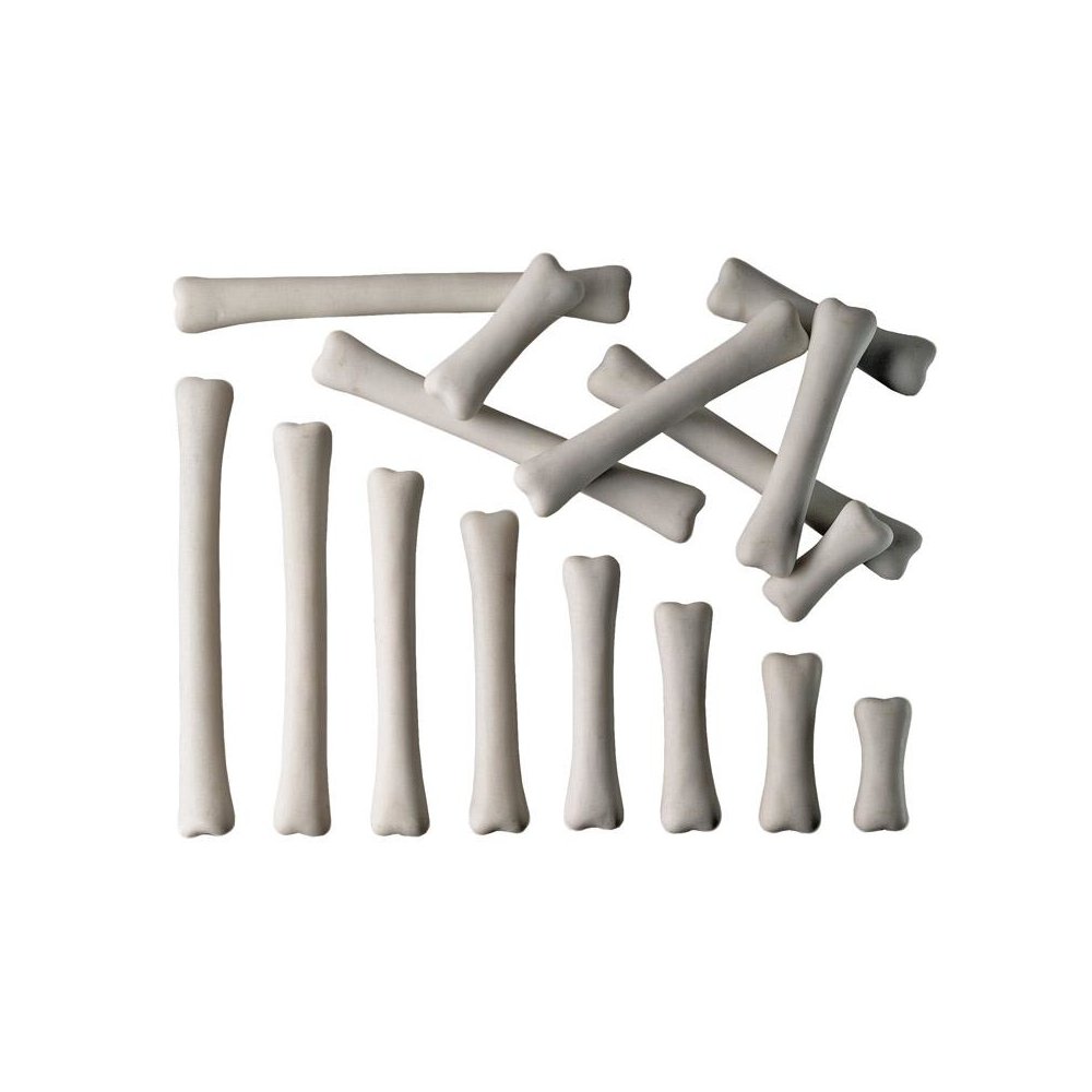 DINOSAUR BONES MATCH & MEASURE SET. Picture 1