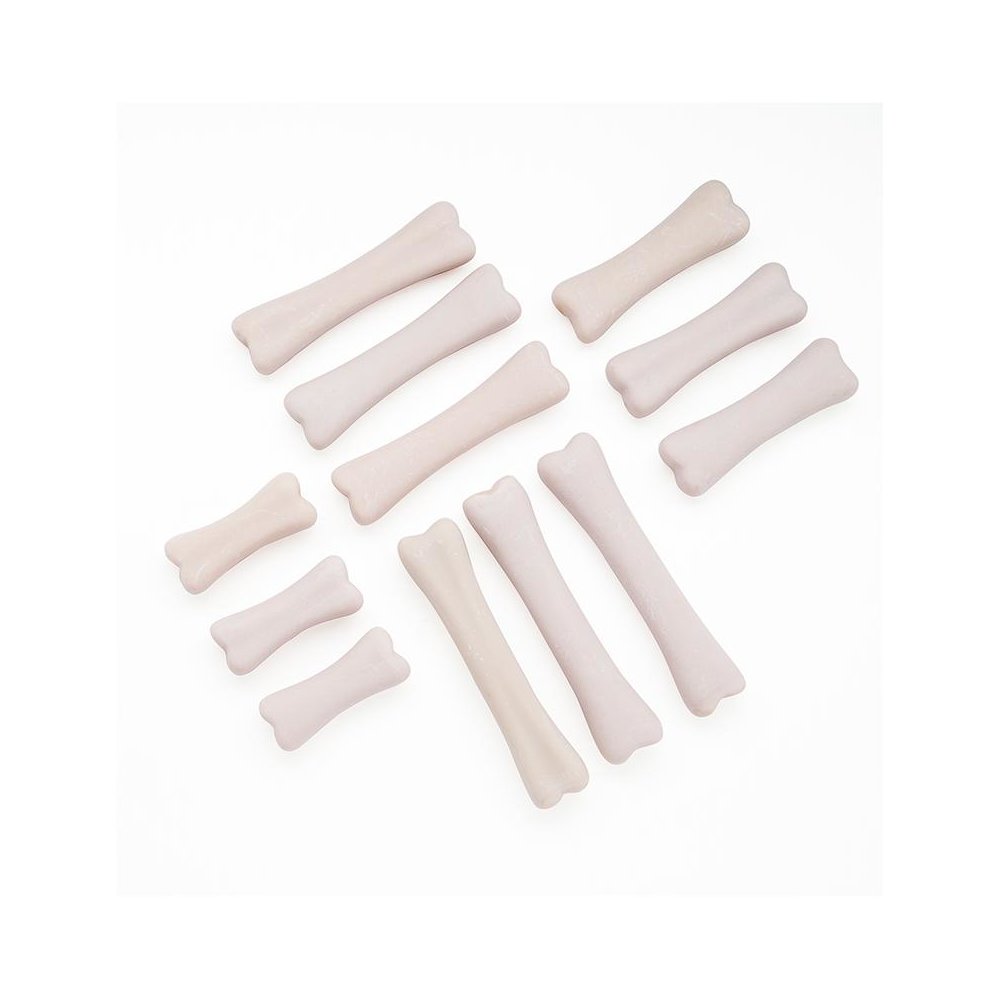 DINOSAUR BONES DISCOVERY SET. Picture 1