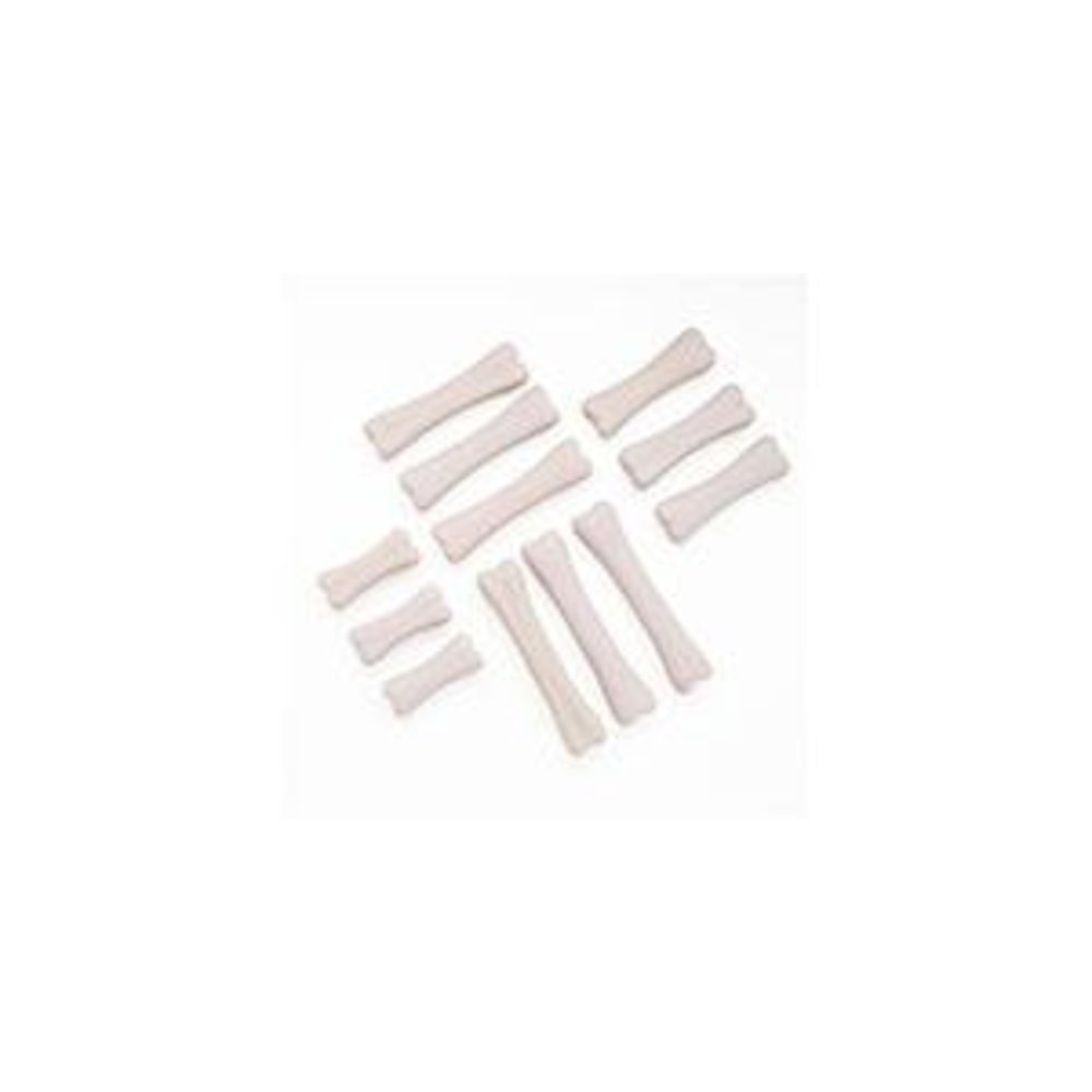 DINOSAUR BONES DISCOVERY SET. Picture 2