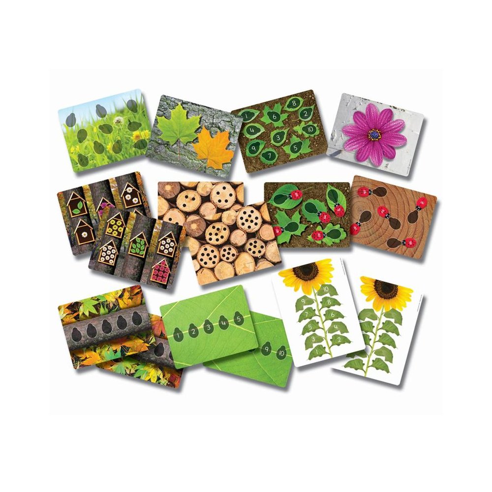 LADYBUGS EARLY NUMBER CARDS. Picture 1