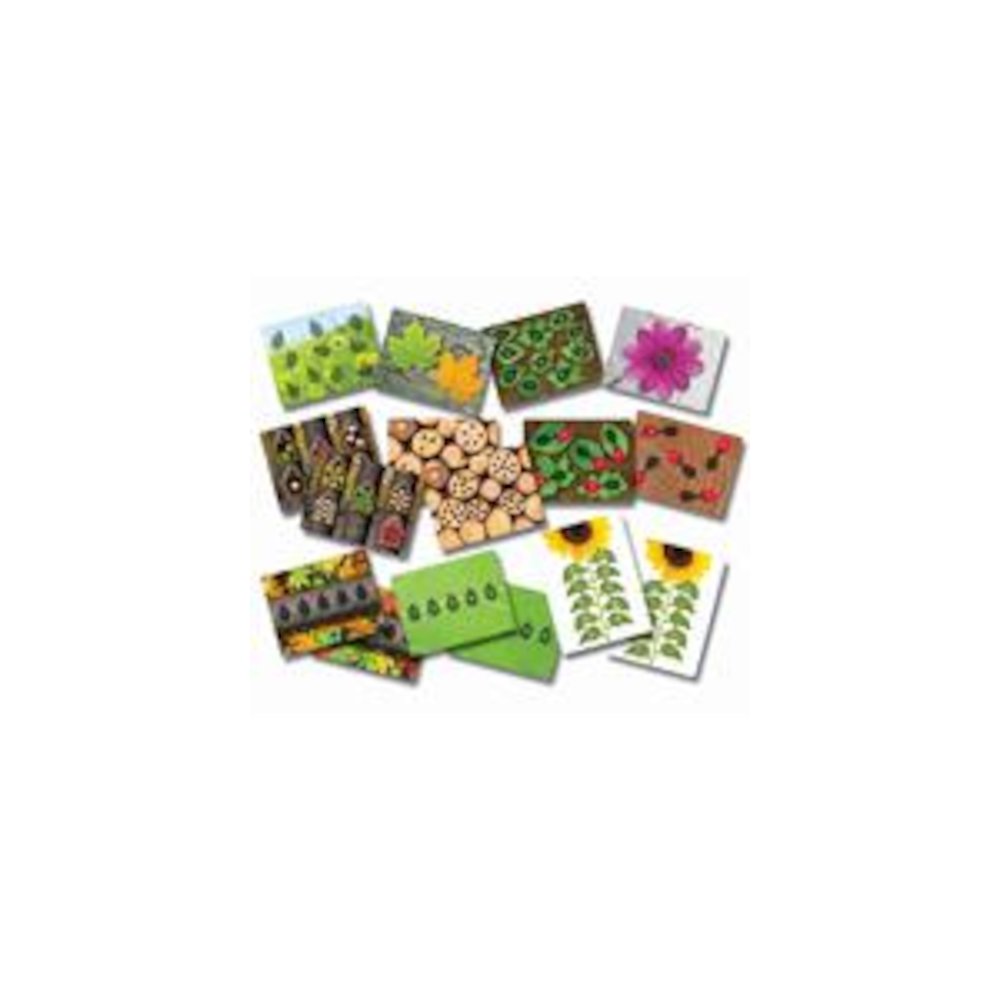 LADYBUGS EARLY NUMBER CARDS. Picture 2