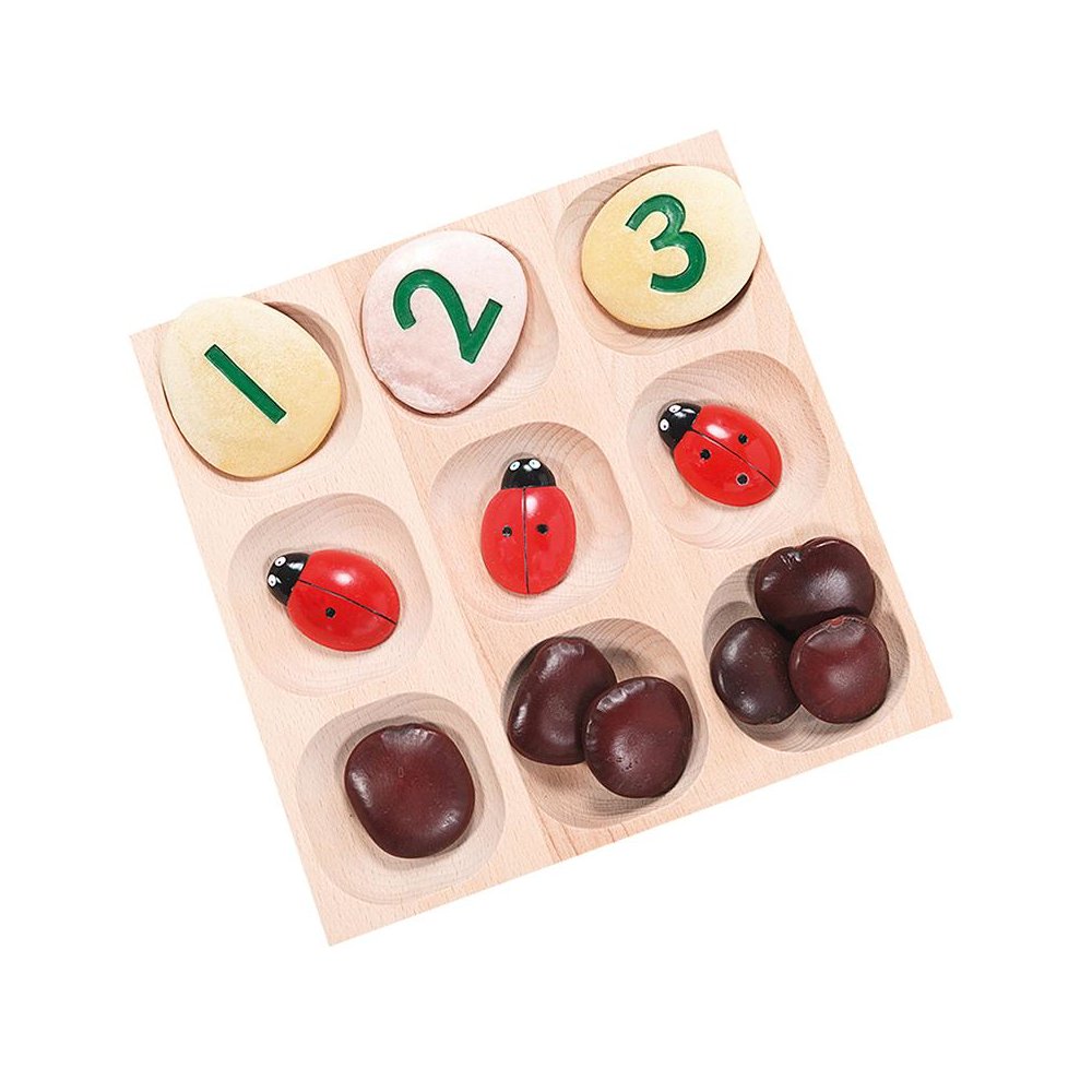 Natural Sorting Tray. Picture 1