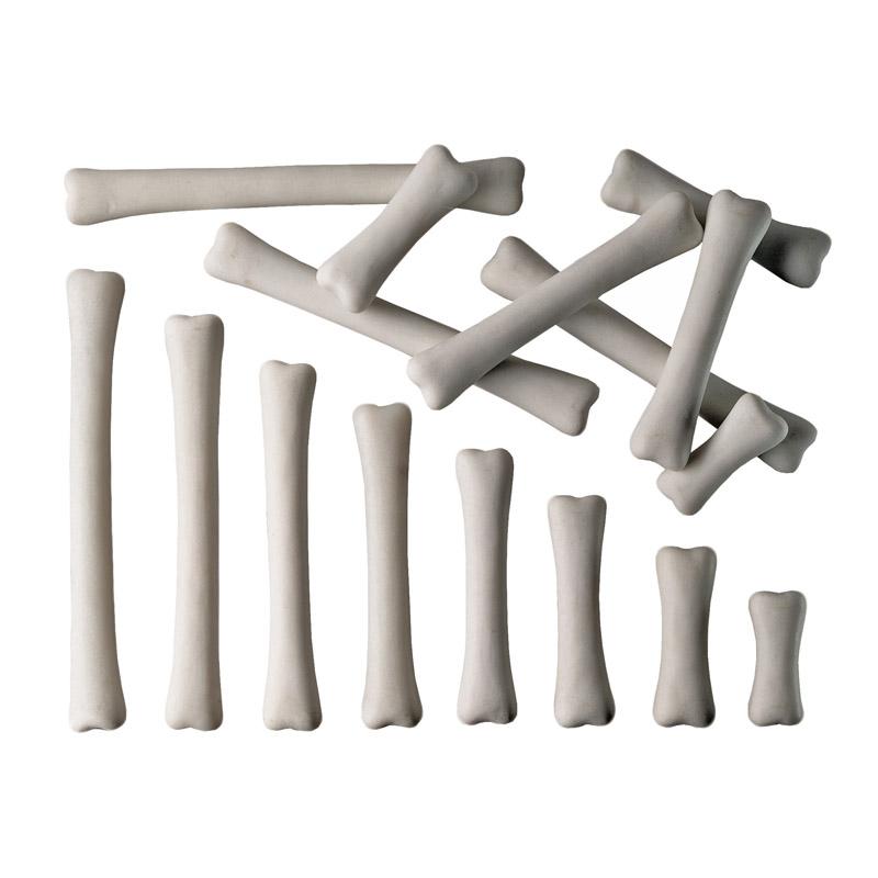 DINOSAUR BONES MATCH & MEASURE SET. Picture 1
