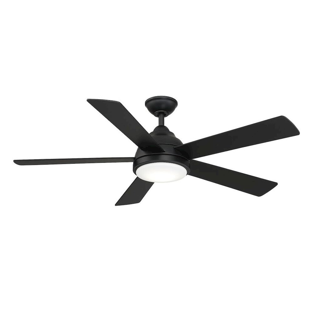 Neopolis 52 inch indoor/outdoor Ceiling Fan. Picture 1