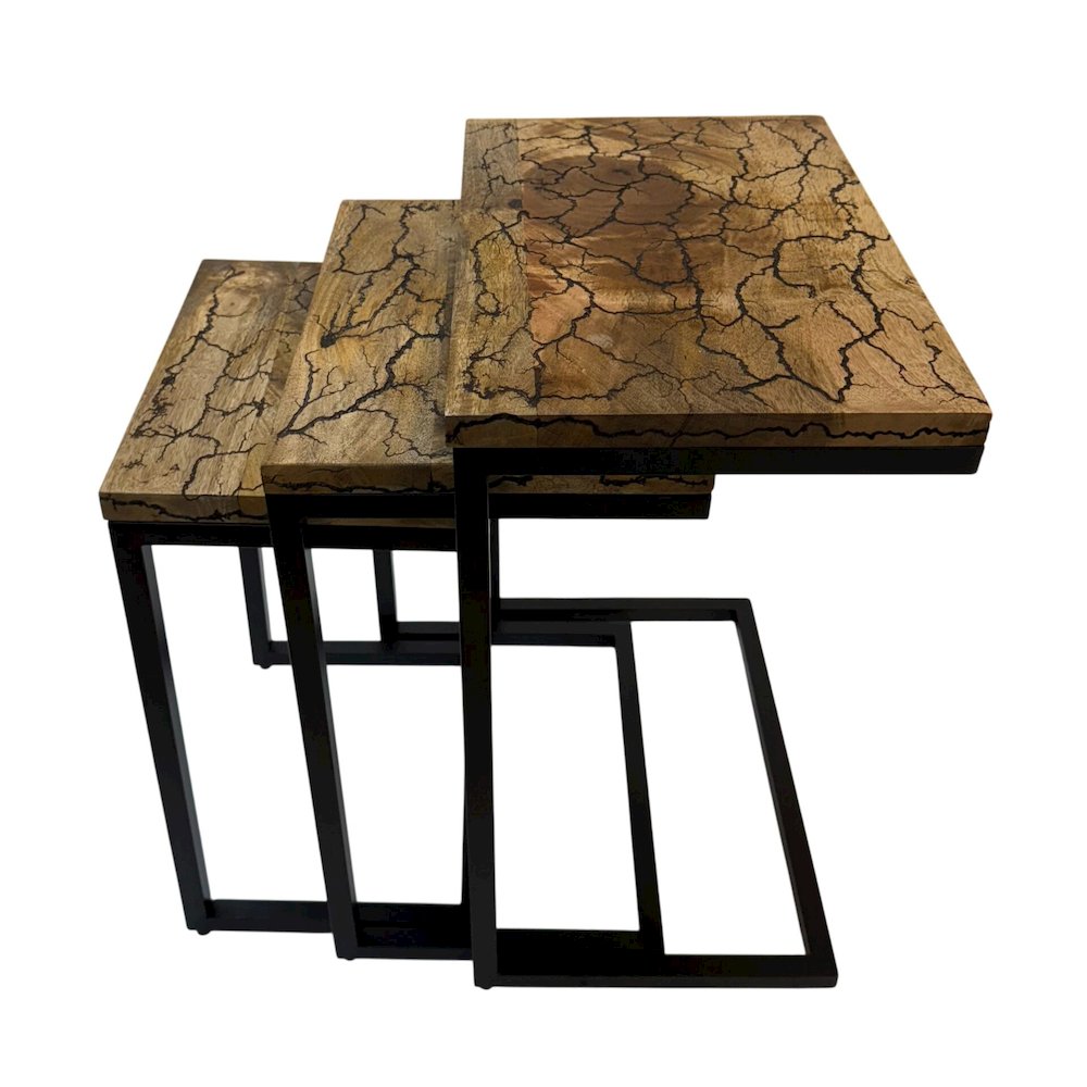 Electra 3 Piece Nesting Table Set - Electrified Wood - Black Iron. Picture 2