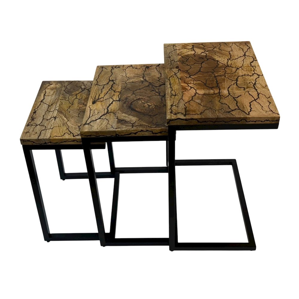 Electra 3 Piece Nesting Table Set - Electrified Wood - Black Iron. Picture 3