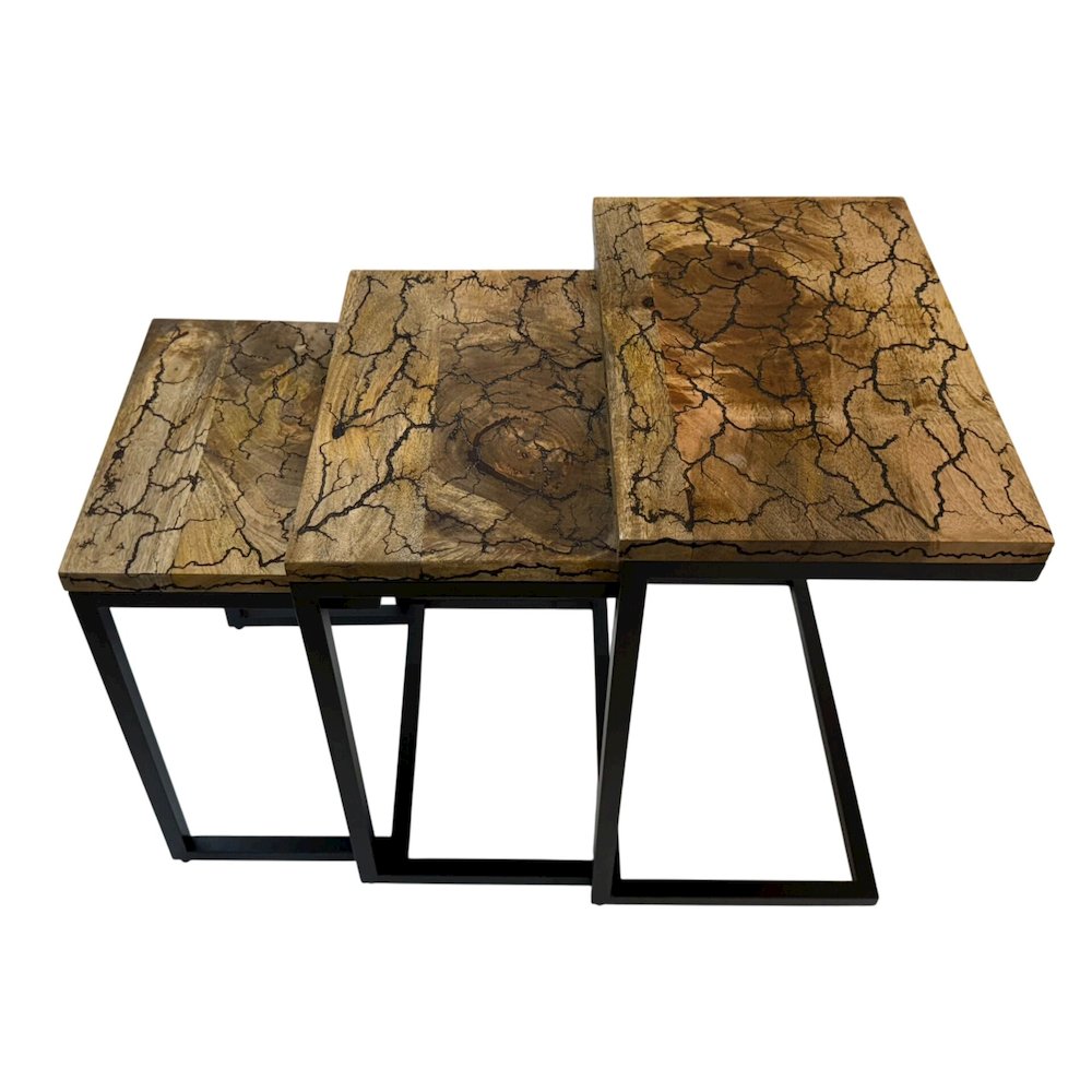 Electra 3 Piece Nesting Table Set - Electrified Wood - Black Iron. Picture 4