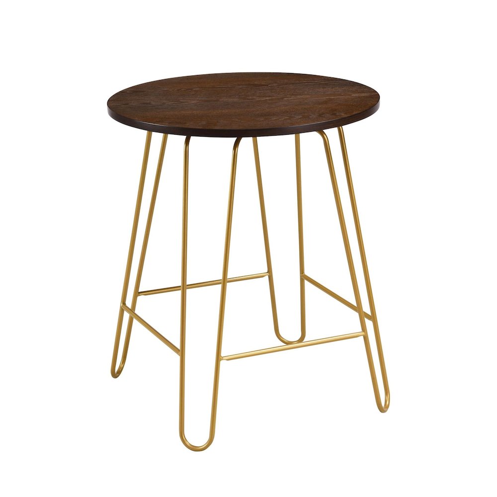 Ethan 20" Side Table - Elm/Gold. Picture 1