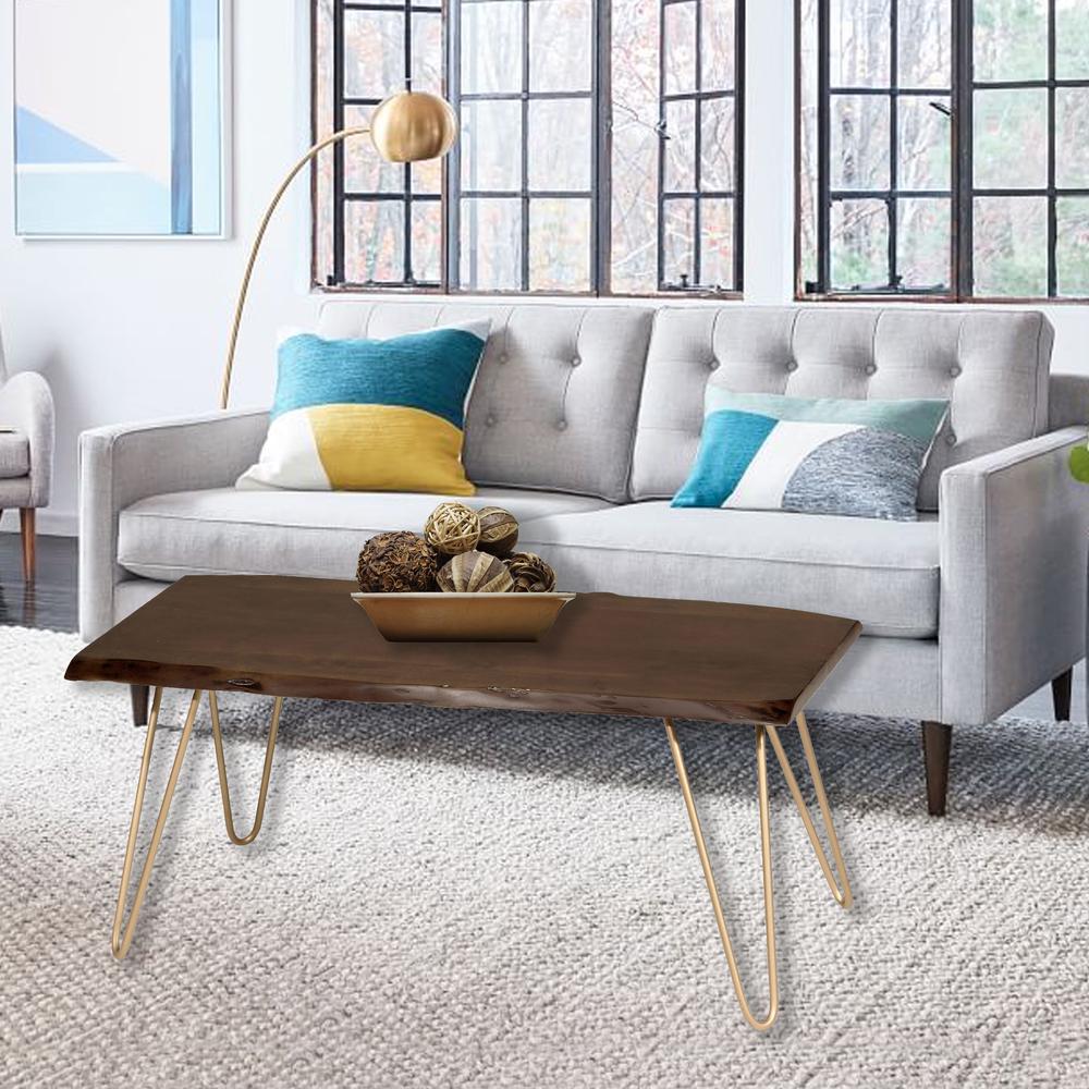 Seti Live Edge Coffee Table/Bench - Elm Top - Gold Base. Picture 6