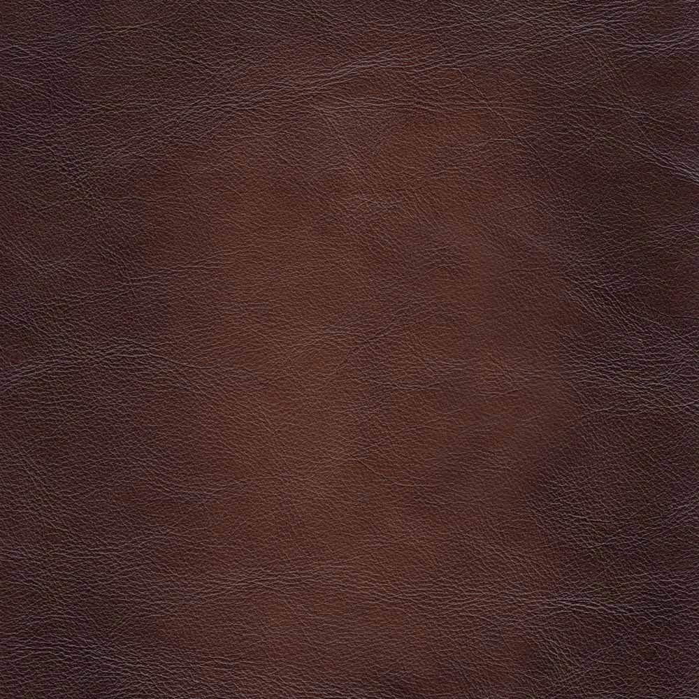 Alton Bay Leather Sofa. Picture 5