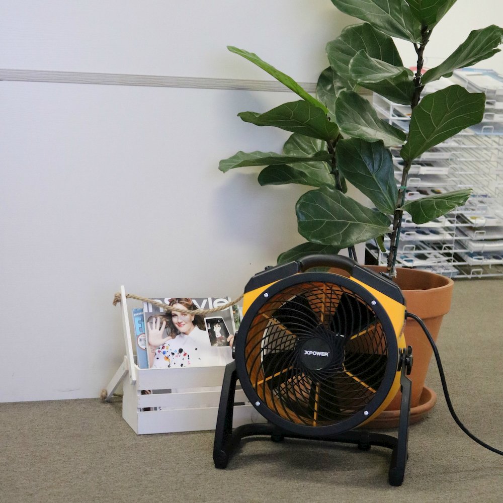 1100 CFM 4 Speed Portable 11" Professional Grade Air Circulator Utility Fan. Picture 21
