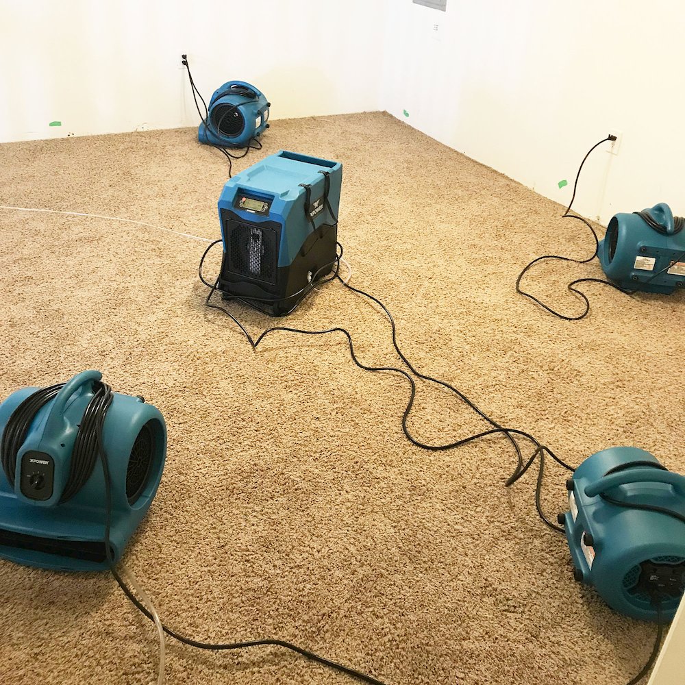 1/3 HP 2600 CFM 3 Speed, Carpet Dryer, Blower with Built-in GFCI Power Outlets. Picture 12