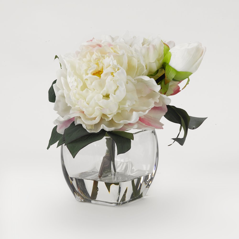 Cream Peonies in Glass Cube. Picture 1