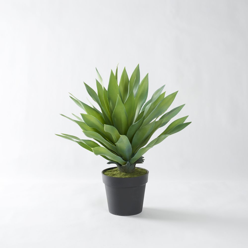 25" Large Desert Succulent in Black Plastic Pot. Picture 1