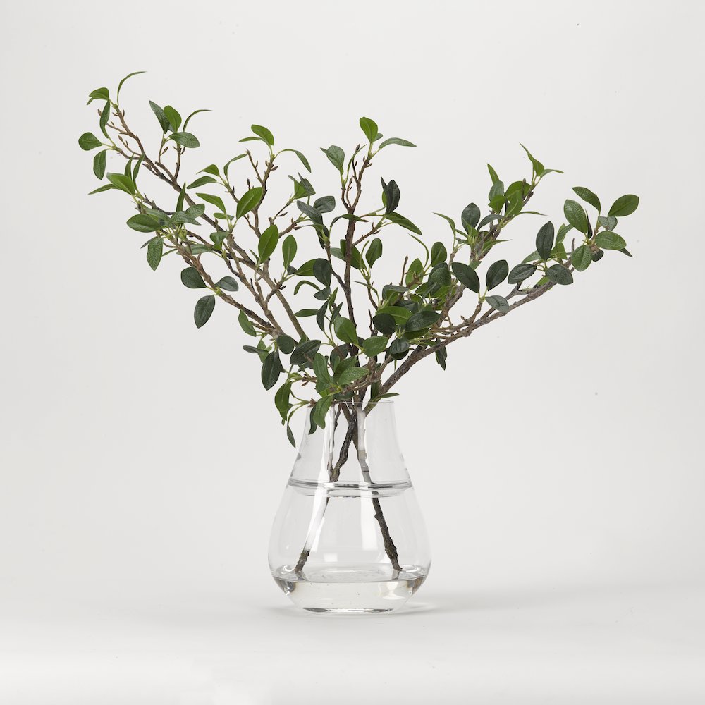 Green Leafy Branches in Glass Vase. Picture 1