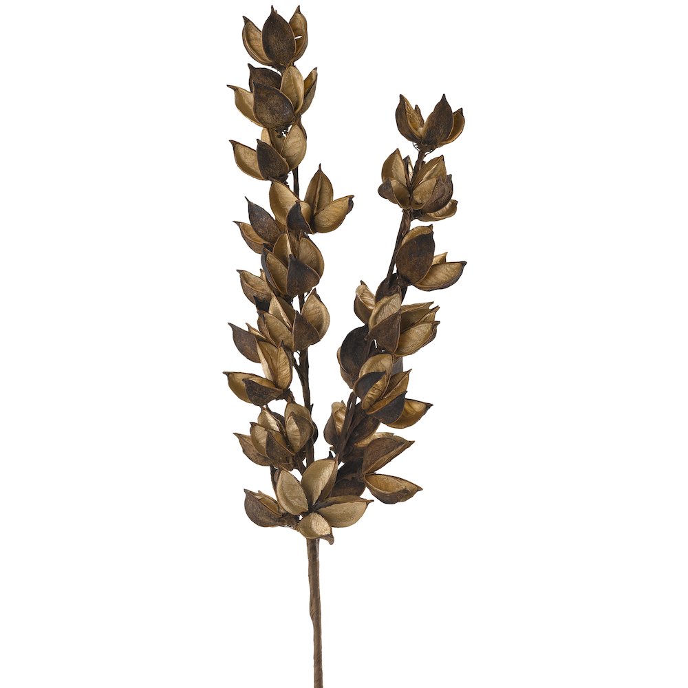 Cotton Stem - Set of 3. Picture 1