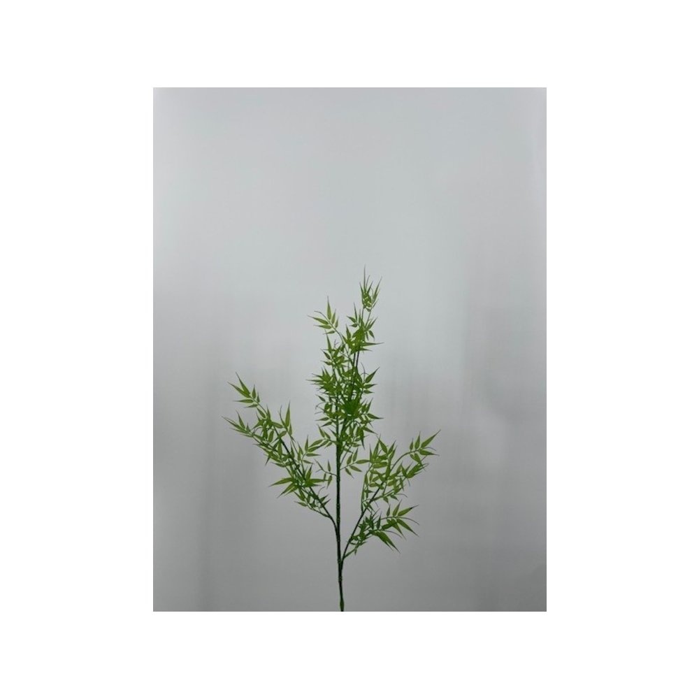 Bamboo Spray - Set of 3. Picture 1