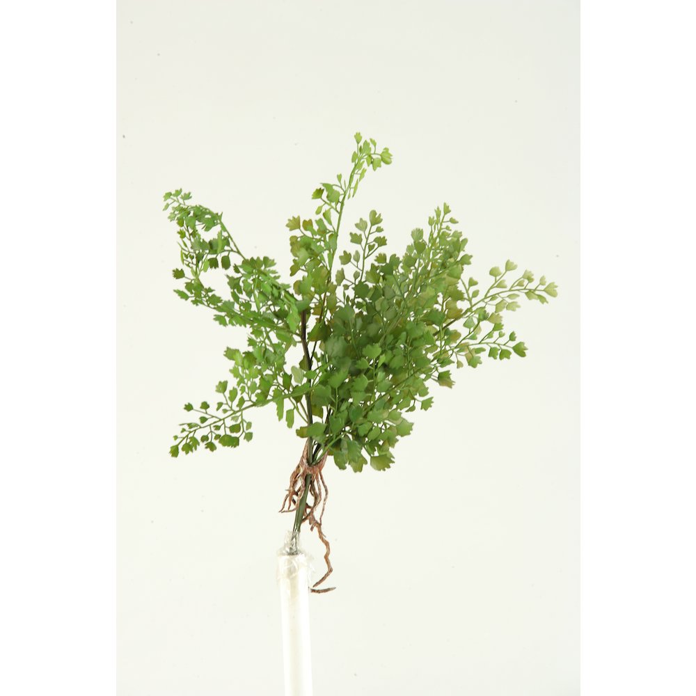 Flat Iron Fern Spray. Picture 1