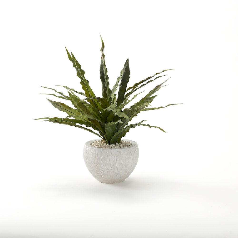 Frosted Green Birdnest in White Ezra Bowl. Picture 1