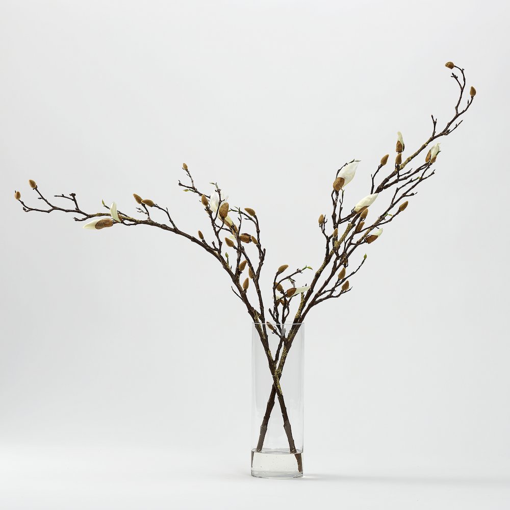 Magnolia Stems in Glass Cylinder. Picture 1