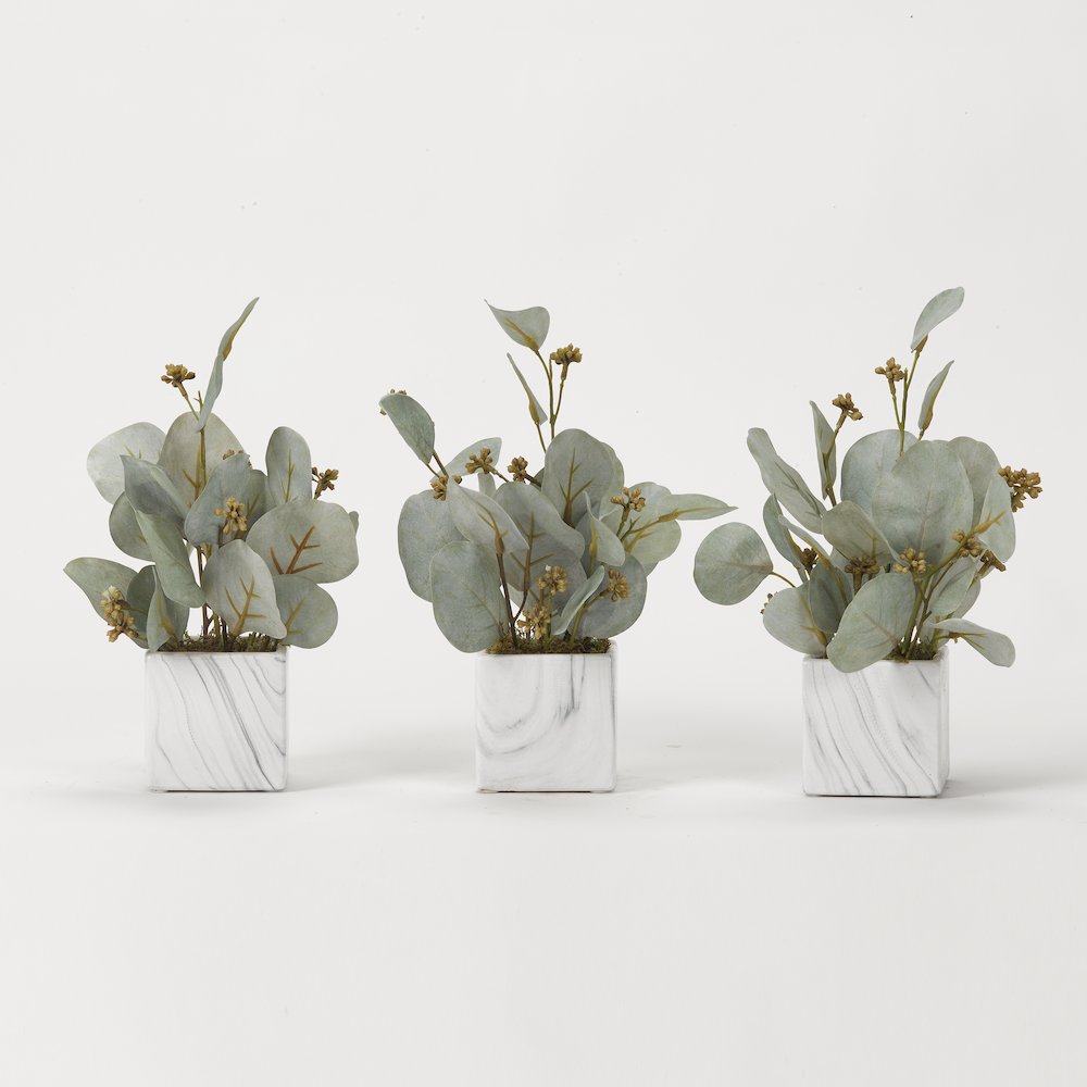 Seeded Eucalyptus Branches in Marbled Ceramic Cube - Set Of 3. Picture 1