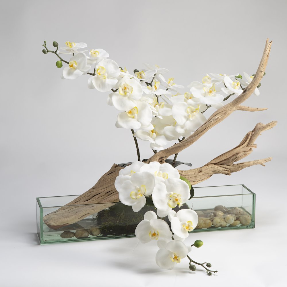 White Phael Orchids with Ghostwood in Rectangle Aquarium Glass. Picture 1