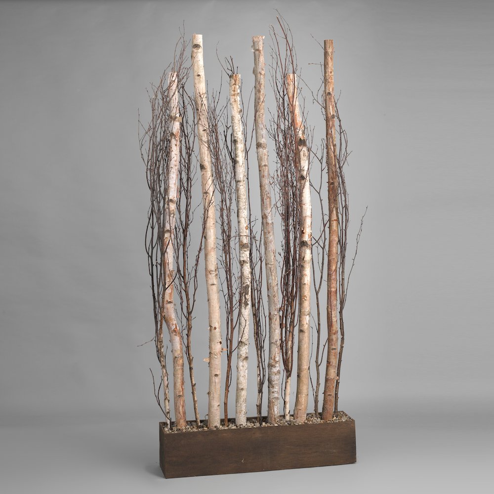 7.5' Birch Trunks And Branches Screen. Picture 1